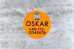 Hundemarke Biothane 25 mm peach