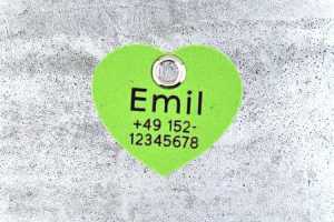 Biothane-Hundemarke Herz, 30 mm, apfelgrün, einseitig