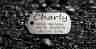 Hundemarke Edelstahl Dogtag, 50 mm, beidseitig