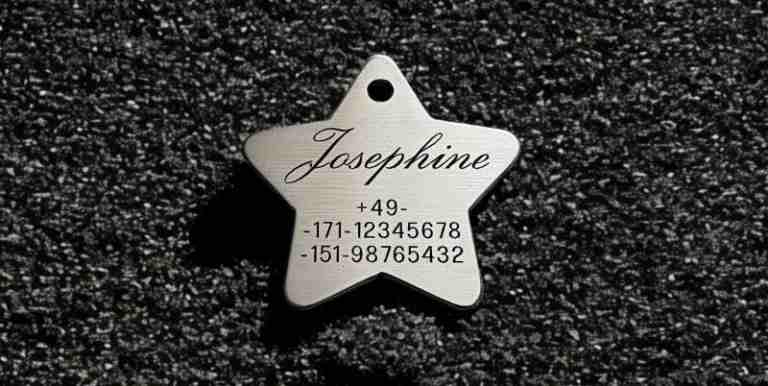 Hundemarke Edelstahl sonstige, Stern, 40 mm, beidseitig