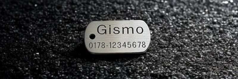 Hundemarke Edelstahl Dogtag, 30 mm, einseitig