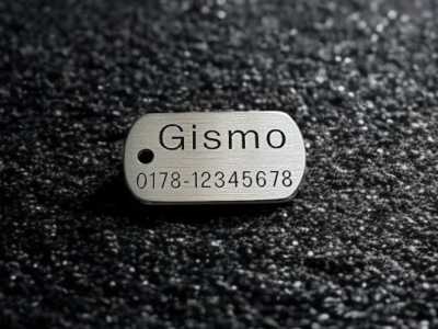 Hundemarke Edelstahl Dogtag, 30 mm, einseitig