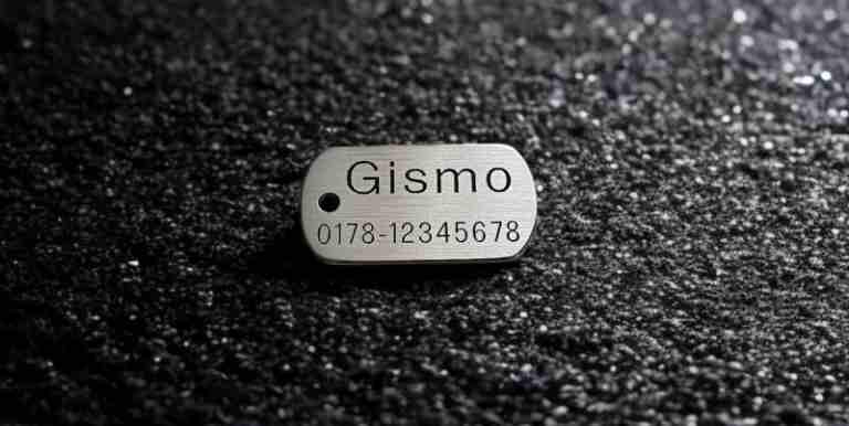 Hundemarke Edelstahl Dogtag, 30 mm, einseitig