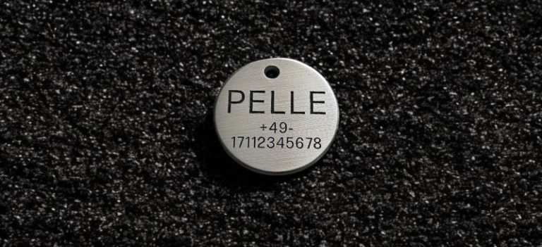 Hundemarke Edelstahl, rund 25 mm, einseitig