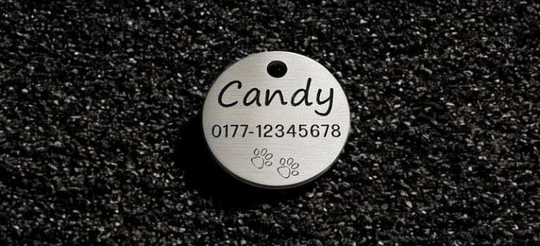 Hundemarke Edelstahl, rund 30 mm, einseitig