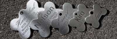 Edelstahl Knochen, 5 Größen ab 11,00 €