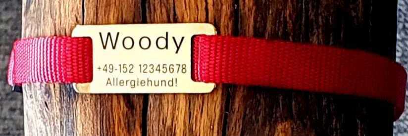 Messing-Plakette für flache Halsbänder mit Breite 12-16 mm, 15,50 €.