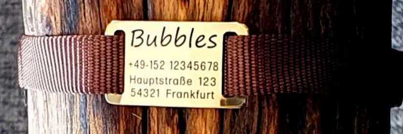 Messing-Plakette für flache Halsbänder mit Breite 18-22 mm, 16,50 €.