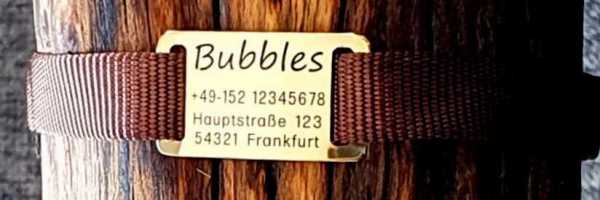 Messing-Plakette für flache Halsbänder mit Breite 18-22 mm, 16,50 €.