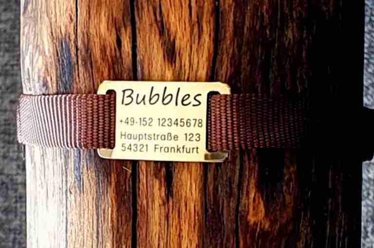 Messing-Plakette für flache Halsbänder mit Breite 18-22 mm, 16,50 €.
