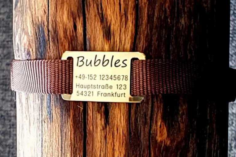 Hundemarke Plakette für flache Halsbandmaterialien bis Breite 23 mm