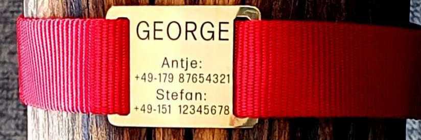 Messing-Plakette für flache Halsbänder mit Breite 28-30 mm, 19,00 €.