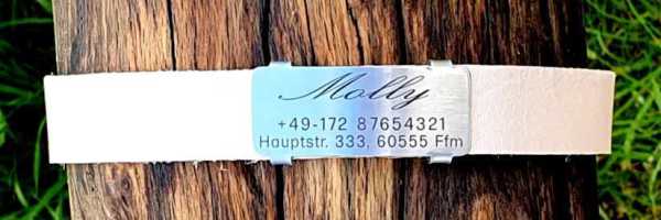 Edelstahl-Plakette für Lederhalsbänder mit Breite 18-21 mm, 17,00 €.