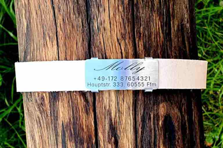 Edelstahl-Plakette für Lederhalsbänder mit Breite 18-21 mm, 17,00 €.
