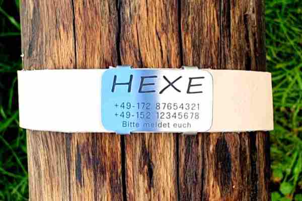 Edelstahl-Plakette für Lederhalsbänder mit Breite 28-31 mm, 19,00 €.