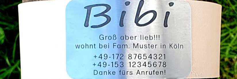 Edelstahl-Plakette für Lederhalsbänder mit Breite 48-51 mm, 22,50 €.