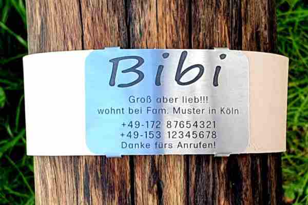 Edelstahl-Plakette für Lederhalsbänder mit Breite 48-51 mm, 22,50 €.