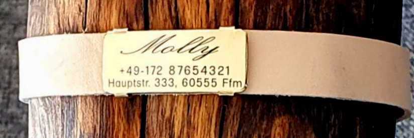 Messing-Plakette für Lederhalsbänder mit Breite 18-21 mm, 19,50 €.