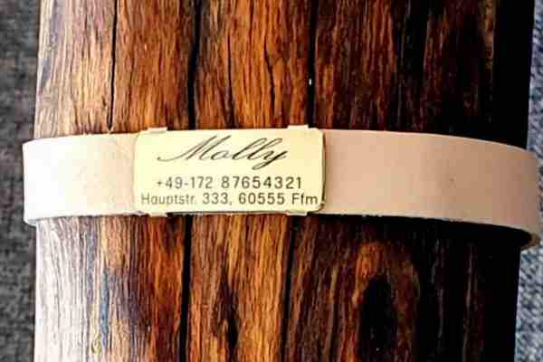 Messing-Plakette für Lederhalsbänder mit Breite 18-21 mm, 19,50 €.