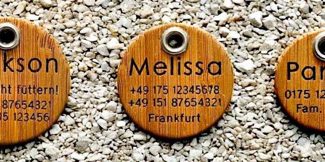 Hundemarken aus Bambus - Übersicht