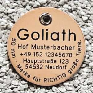 Leder-Hundemarke hell, 50 mm