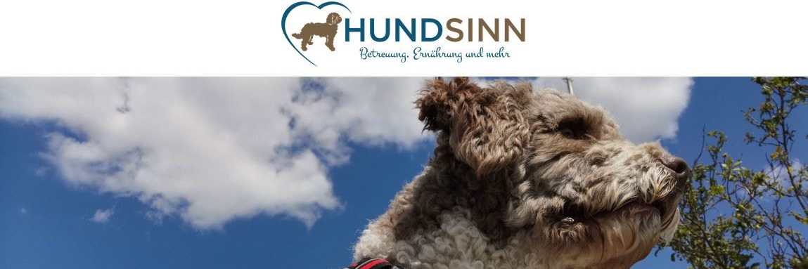 Hundsinn