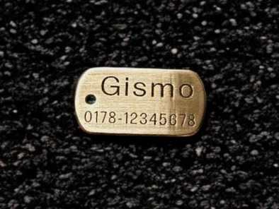 Hundemarke Messing Dogtag, 30 mm, einseitig