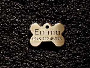 Hundemarke Messing Knochen, 28 mm, einseitig