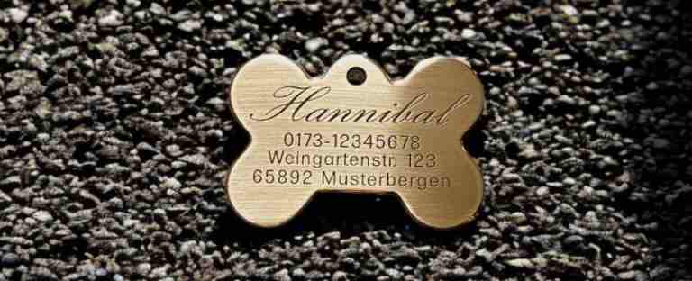 Hundemarke Messing Knochen, 50 mm, einseitig