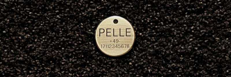 Hundemarke Messing rund, 25 mm, einseitig